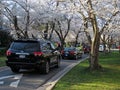 Crowded Road at Kenwood Maryland