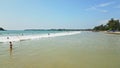 Aerial view of surfers at tropical beach, paddling, riding waves. Crowded surf spot with active tourists, clear sea