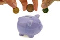 Crowdfunding concept with a piggy bank close-up on a white background