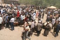 Crowds on busy uighur market Royalty Free Stock Photo