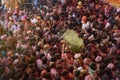 Crowds can be seen below duirng Holi Festival in India, throwing Royalty Free Stock Photo