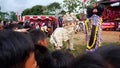 Crowds of children crammed to see the barongsai and reog performances