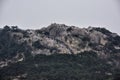 Crowds gather on Huangshan - Yellow Mountain, China Royalty Free Stock Photo