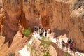 Crowds of hikers make their way up the steep Wall Street trail in Bryce Canyon National Park Royalty Free Stock Photo