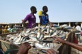 Crowds of sardinella fishers and fish buyers at Mbour landing site, Senegal