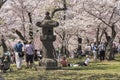 Crowds of tourists at the Cherry Blossom Festival Royalty Free Stock Photo