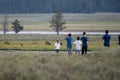 Crowds of Tourists Gather to Watch Elk Royalty Free Stock Photo