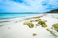 Crowds enjoy the idyllic beach in summer Royalty Free Stock Photo