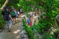 Crowds of tourists on winding footpath in green lush forest of Plitvice Lakes