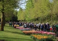 Crowds of visitors walking by tulip beds Keukenhof Royalty Free Stock Photo