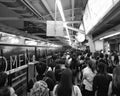 Crowds waiting for the public train Royalty Free Stock Photo