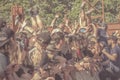 Crowdsurfing during a concert at a summer festival Royalty Free Stock Photo