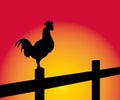 Crowing rooster on a fence