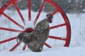 Crowing rooster of old resistant breed Hedemora from Sweden on snow in wintery landscape. Royalty Free Stock Photo