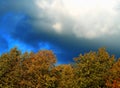 Crown of the autumn trees above dramatic clouds background Royalty Free Stock Photo