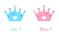 Crown. Baby gender reveal party. Pink and blue crown