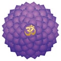 Crown Chakra Aum Symbol Lotus Sahasraha