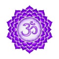 The Crown Chakra