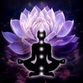 Crown Chakra - SAHASRARA - Knowledge, Consciousness, Fullfillment, Spirituality - \