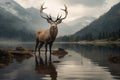 Crown of the Forest A Stately Deer with Exquisite Antlers