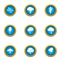 Crown icons set, flat style