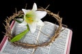 crown of thorns with Easter lily Royalty Free Stock Photo