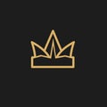 Crown logo abstract