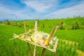 Crown made of leafs over a wooden support in a rice fileds, Ubud, Bali, Indonesia