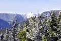 Crown Mountain Winter View with beautiful trees in