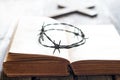 Crown of thorn and bible with cross abstract easter background Royalty Free Stock Photo