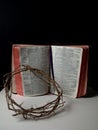 The crown of thorn laid on a bible Royalty Free Stock Photo