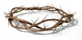 A Crown Of Thorns Royalty Free Stock Photo