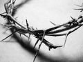 Crown of Thorns Royalty Free Stock Photo