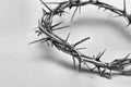 Crown of Thorns Royalty Free Stock Photo