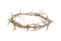 Crown of Thorns Royalty Free Stock Photo