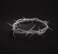 Crown of Thorns 3D Rendering Dark Background