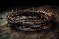 Crown of thorns on a dark background. Christian concept Royalty Free Stock Photo