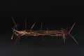 Crown of thorns on dark background, space for text. Easter attribute Royalty Free Stock Photo