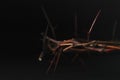Crown of thorns on dark background, closeup with space for text. Easter attribute Royalty Free Stock Photo