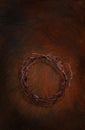 Crown of thorns on a dark red brown painted texture background