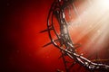 Crown of Thorns an emblem of Christ`s passion Royalty Free Stock Photo