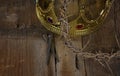 Crown of thorns and gold crown with nails