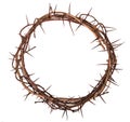 Crown of thorns Royalty Free Stock Photo