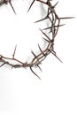 Crown of thorns Jesus Christ isolaten on white. Copy space Royalty Free Stock Photo