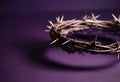 Crown of Thorns on Purple Linen Royalty Free Stock Photo