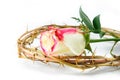 Crown of thorns and rose Royalty Free Stock Photo