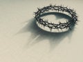 Crown Of Thorns With Royal Shadow Royalty Free Stock Photo