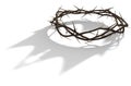Crown Of Thorns With Royal Shadow