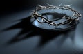 Crown Of Thorns With Royal Shadow Royalty Free Stock Photo