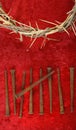 Crown of Thorns and Spikes Royalty Free Stock Photo